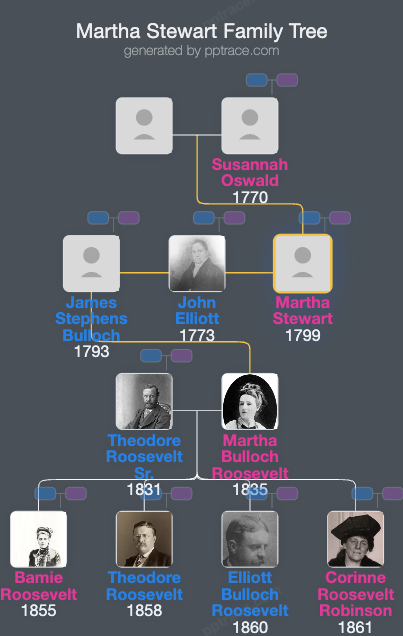Martha Stewart family tree overview