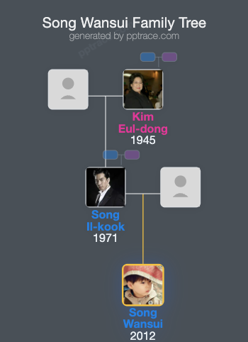 Song Wansui family tree overview
