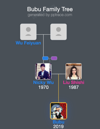 Bubu family tree overview