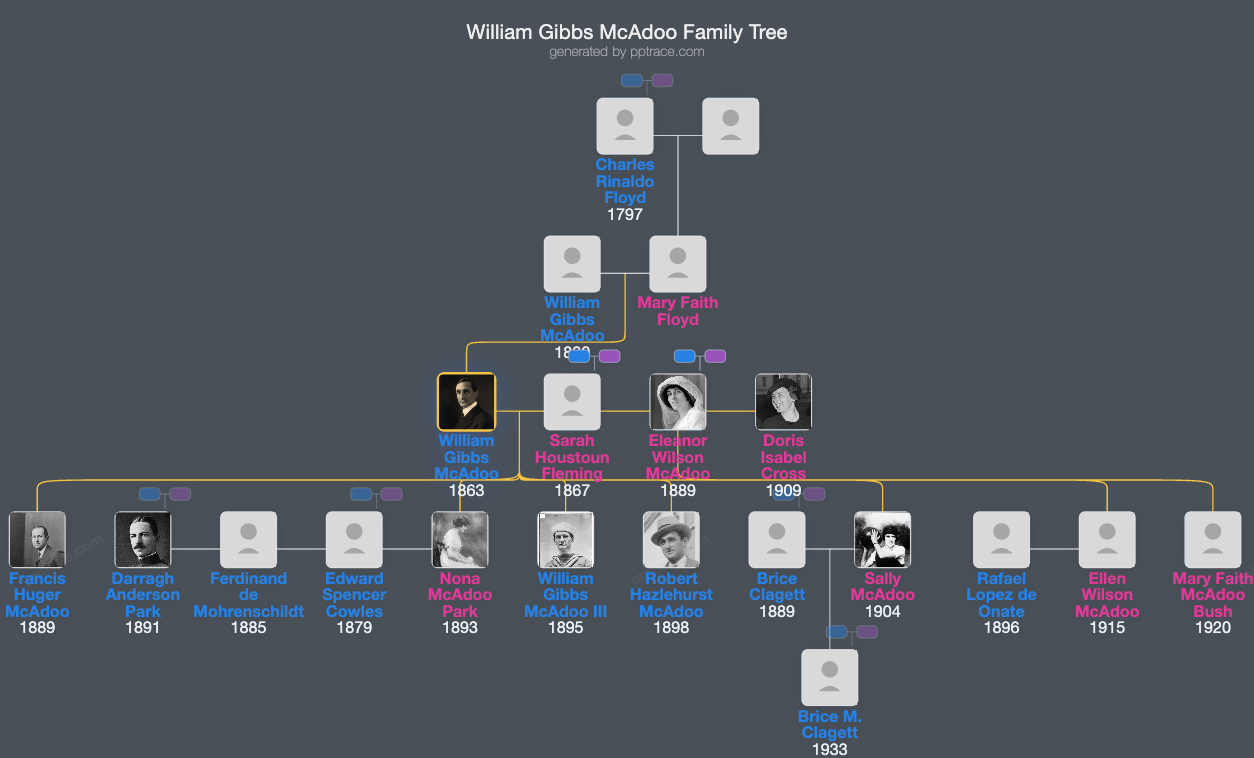 William Gibbs McAdoo family tree overview