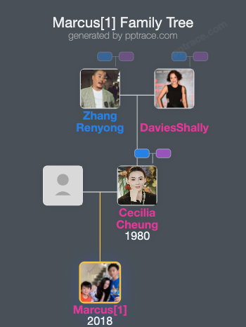 Marcus[1] family tree overview