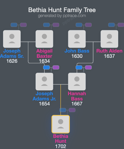 Bethia Hunt family tree overview