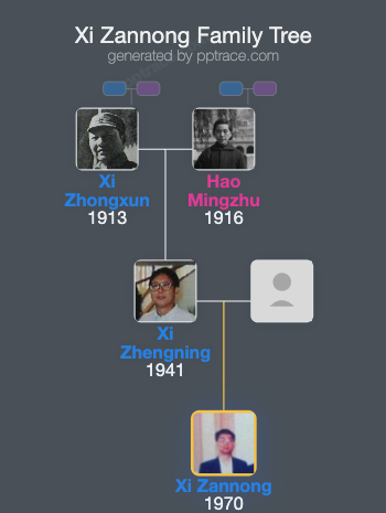 Xi Zannong family tree overview