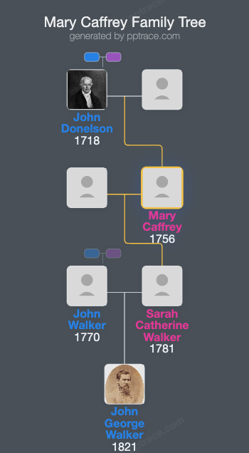 Mary Caffrey family tree overview