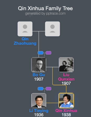 Qin Xinhua family tree overview