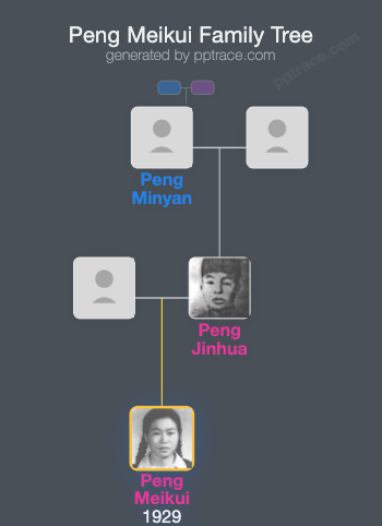 Peng Meikui family tree overview