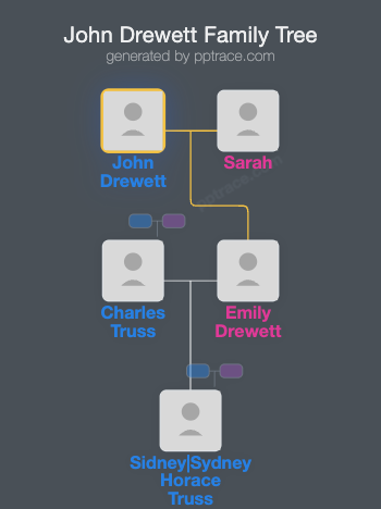 John Drewett family tree overview