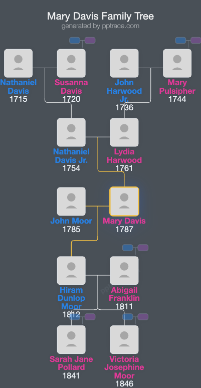 Mary Davis family tree overview