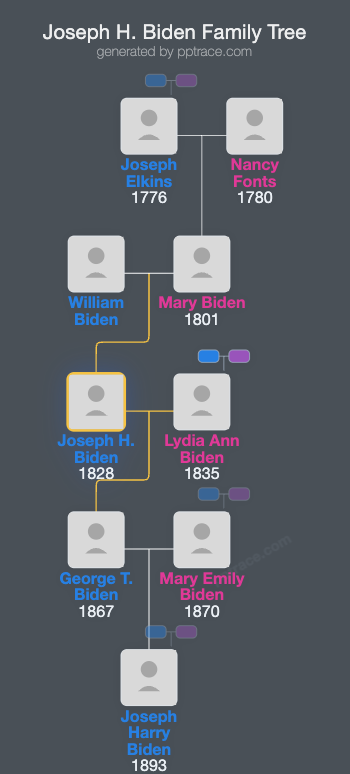 Joseph H. Biden family tree overview