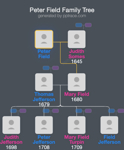 Peter Field family tree overview