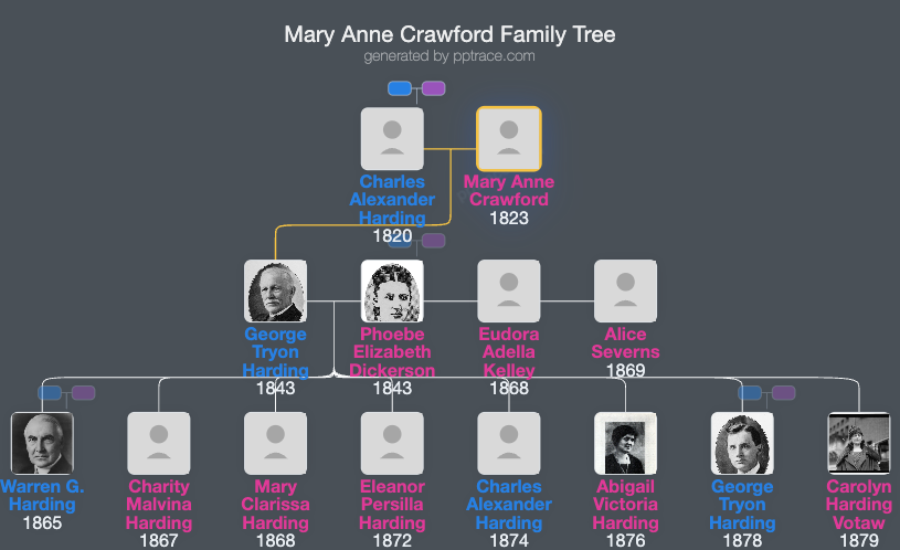 Mary Anne Crawford family tree overview