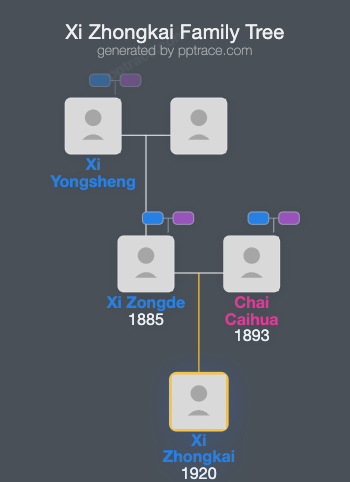 Xi Zhongkai family tree overview