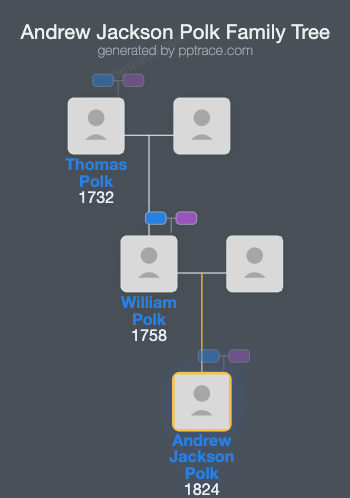 Andrew Jackson Polk family tree overview