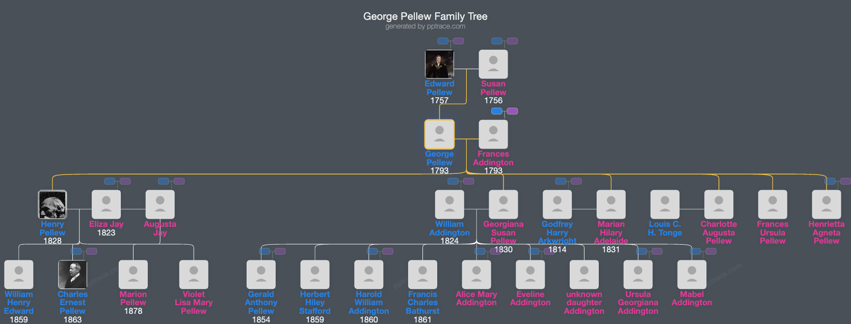 George Pellew family tree overview