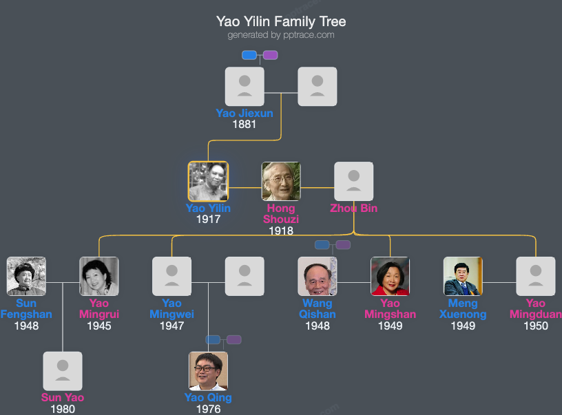 Yao Yilin family tree overview