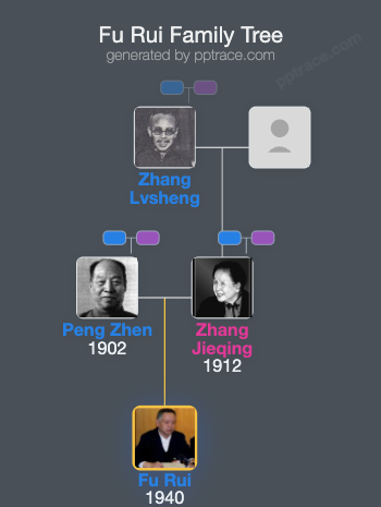 Fu Rui family tree overview