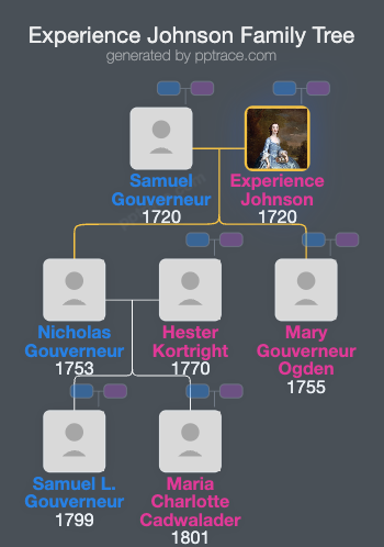Experience Johnson family tree overview