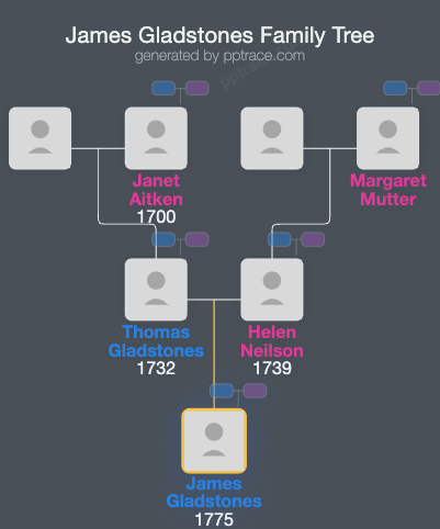 James Gladstones family tree overview