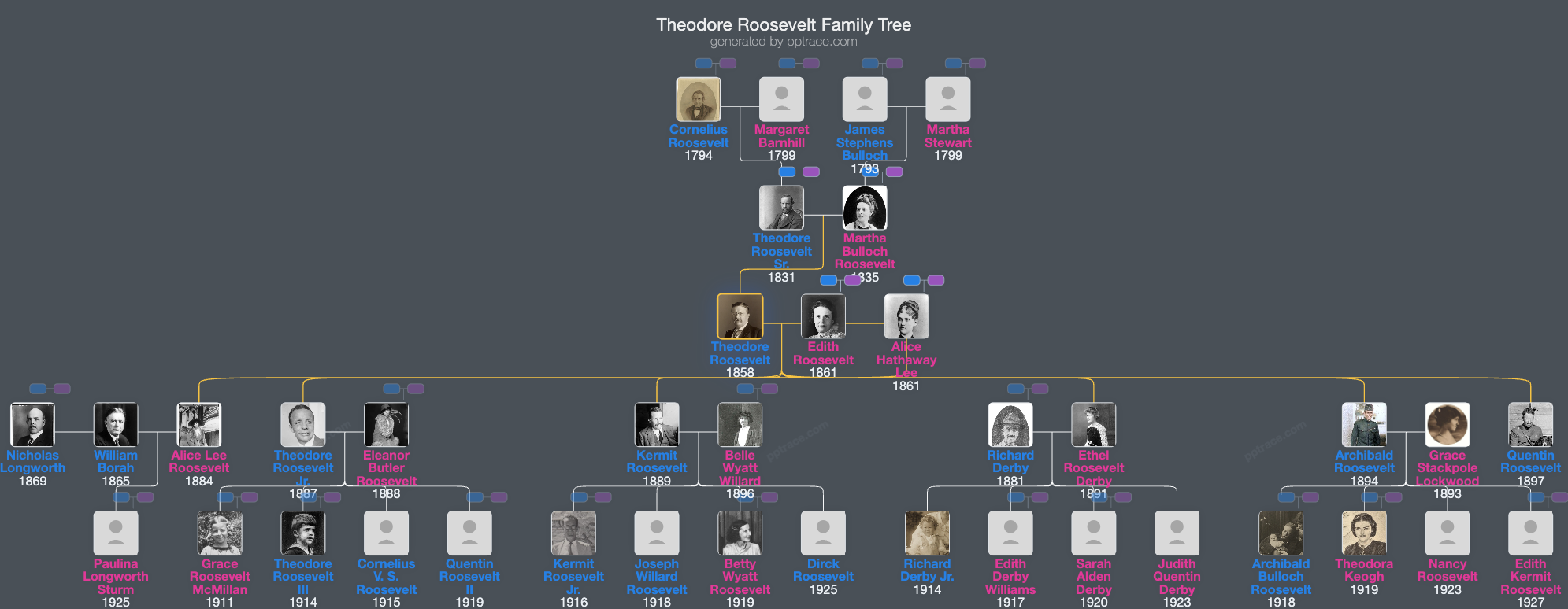Theodore Roosevelt family tree overview
