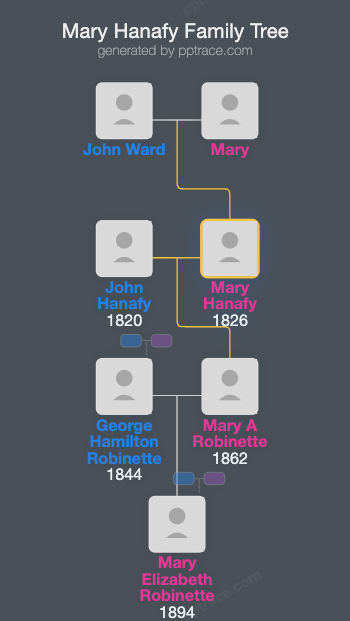 Mary Hanafy family tree overview