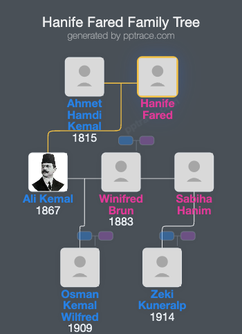Hanife Fared family tree overview