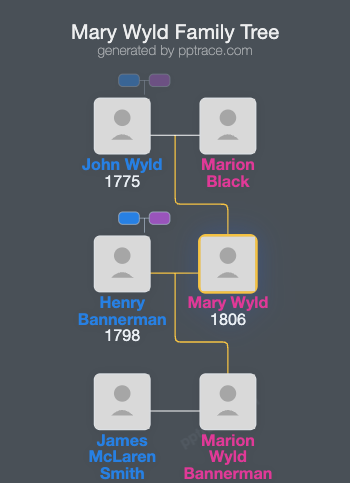 Mary Wyld family tree overview