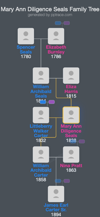 Mary Ann Diligence Seals family tree overview