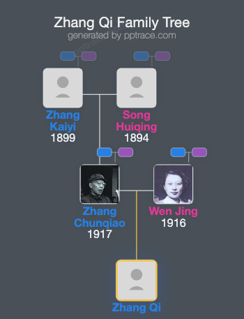 Zhang Qi family tree overview