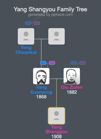 Yang Shangyou family tree overview