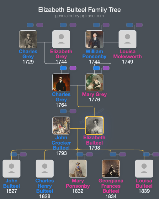 Elizabeth Bulteel family tree overview