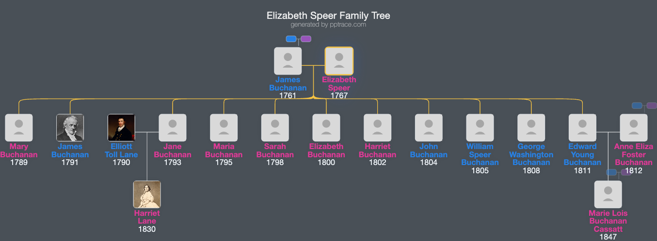 Elizabeth Speer family tree overview
