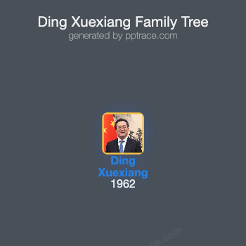 Ding Xuexiang family tree overview