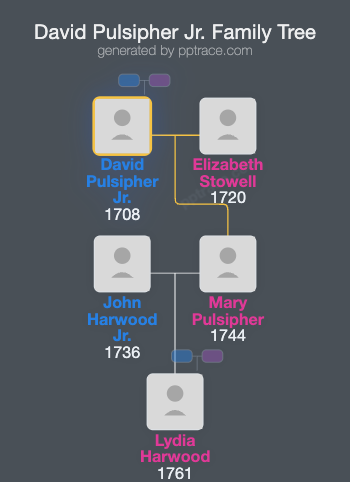 David Pulsipher Jr. family tree overview