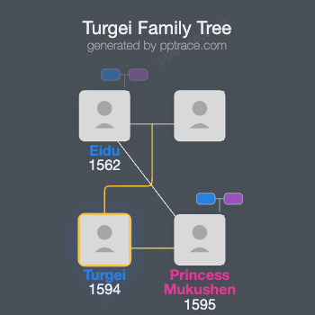 Turgei family tree overview