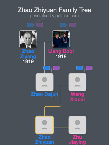 Zhao Zhiyuan family tree overview
