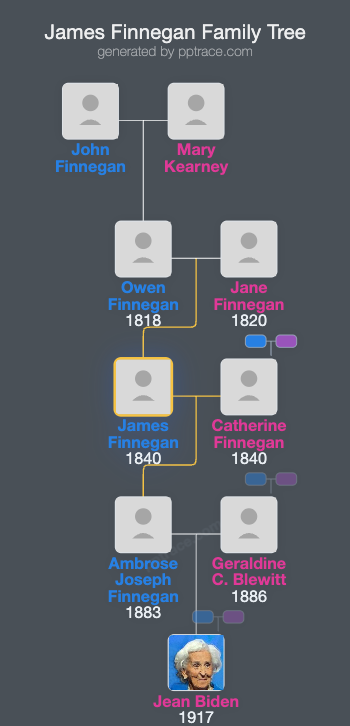 James Finnegan family tree overview
