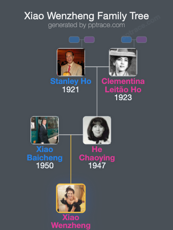 Xiao Wenzheng family tree overview