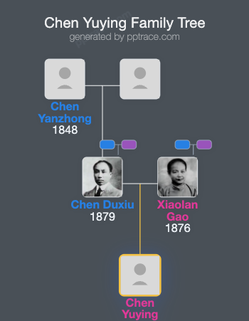 Chen Yuying family tree overview