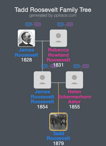 Tadd Roosevelt family tree overview