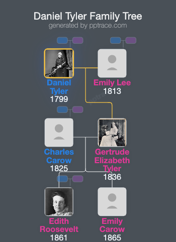 Daniel Tyler family tree overview