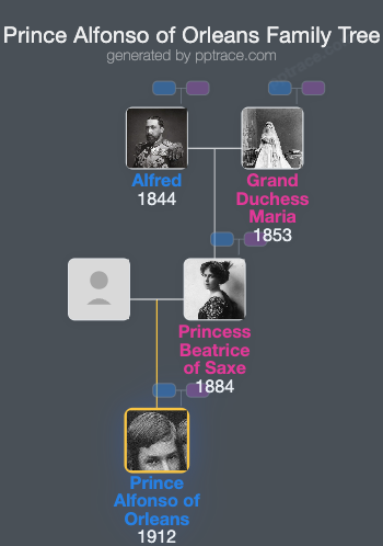 Prince Alfonso Of Orleans family tree overview