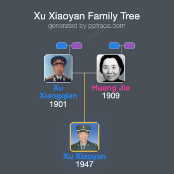 Xu Xiaoyan family tree overview
