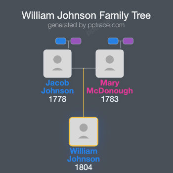 William Johnson family tree overview