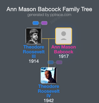 Ann Mason Babcock family tree overview