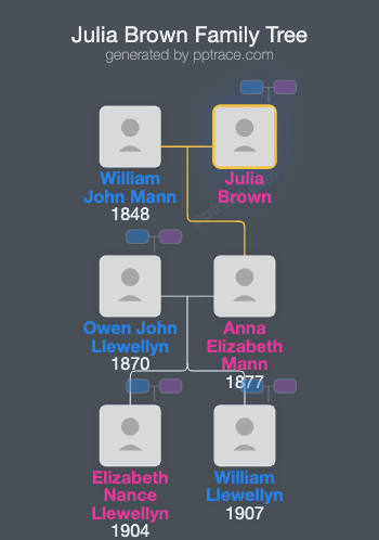 Julia Brown family tree overview