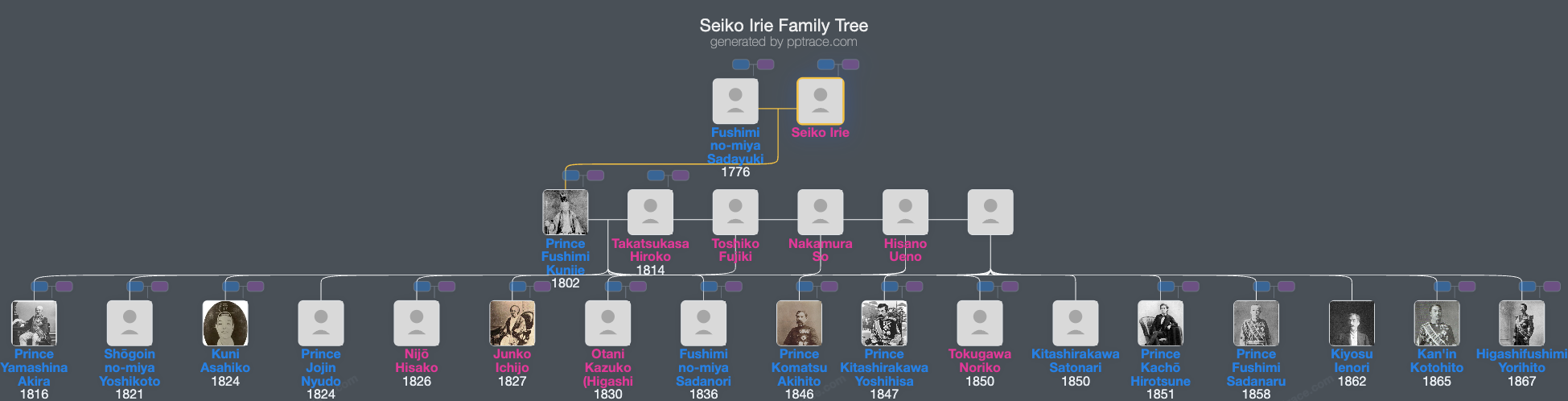 Seiko Irie family tree overview