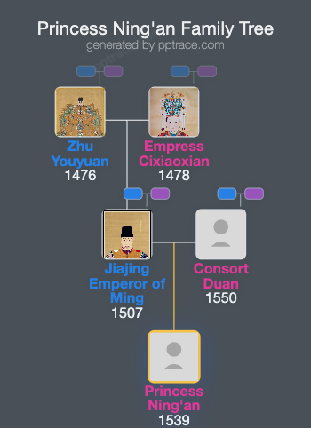 Princess Ning'an family tree overview