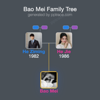 Bao Mei family tree overview