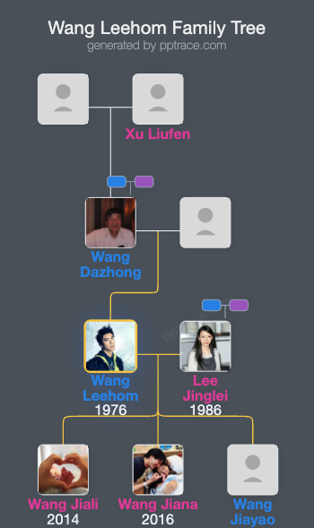 Wang Leehom family tree overview