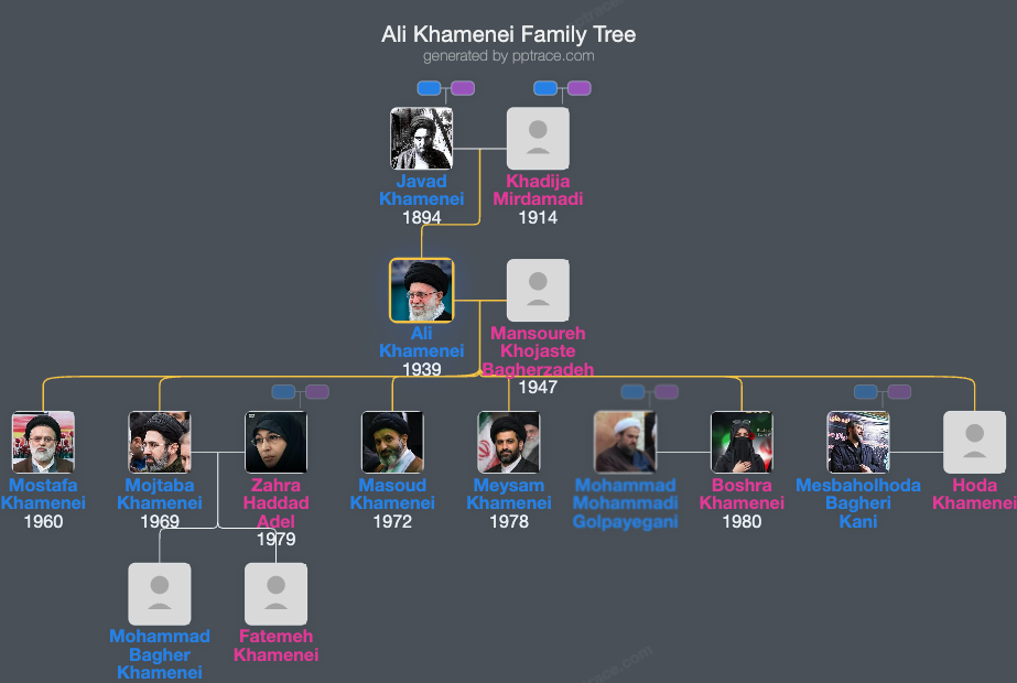 Ali Khamenei family tree overview